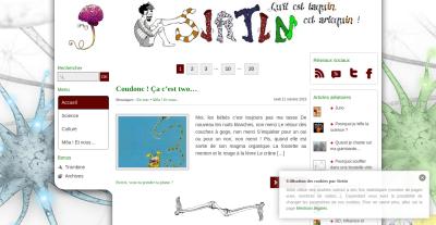 http://www.sirtin.fr